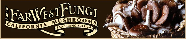 Farwest Fungi